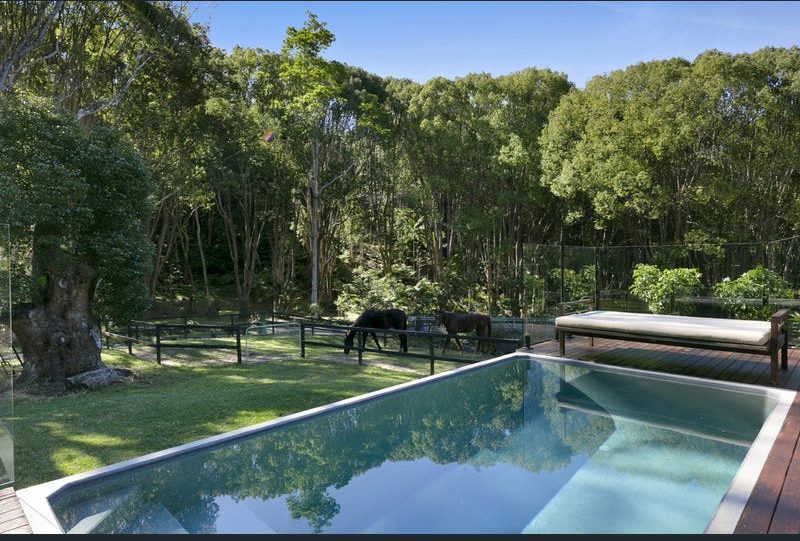 Horses in the paddock beyond the pool at Rich's place in Currumbin Valley